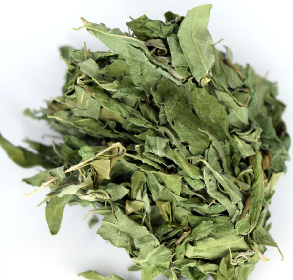 NeuroLeaf: Whitebrush Tea Leaves (Anxiety Relief & Calming) - Image 3