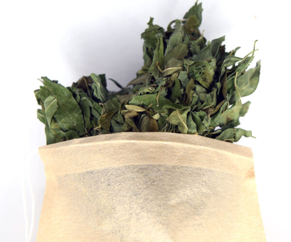 NeuroLeaf: Whitebrush Tea Leaves (Anxiety Relief & Calming)