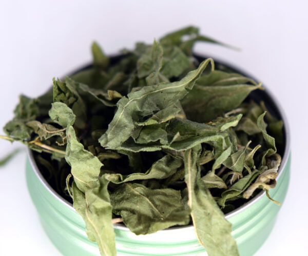 NeuroLeaf: Whitebrush Tea Leaves (Anxiety Relief & Calming) - Image 2