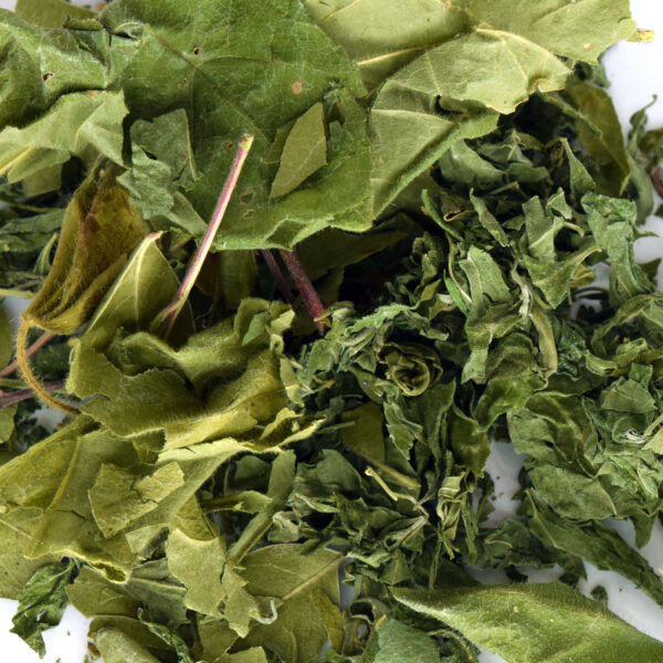 NeuroLeaf: Anti-Inflammation Tea Blend (Morning) - Image 5