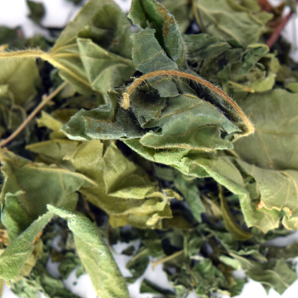 NeuroLeaf: Anti-Inflammation Tea Blend (Morning) - Image 3