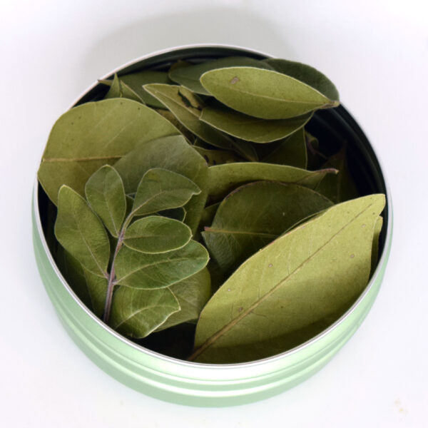 NeuroLeaf: Sumac Tea Leaves (Immunity & Anti-Oxidizing) - Image 5