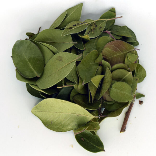 NeuroLeaf: Sumac Tea Leaves (Immunity & Anti-Oxidizing) - Image 3
