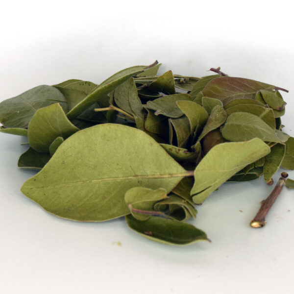 NeuroLeaf: Sumac Tea Leaves (Immunity & Anti-Oxidizing) - Image 4