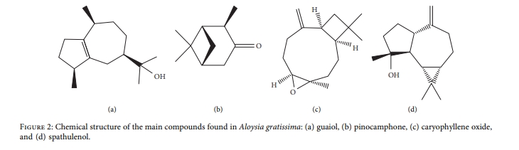 Chemical structure of compounds found in aloysia gratissima